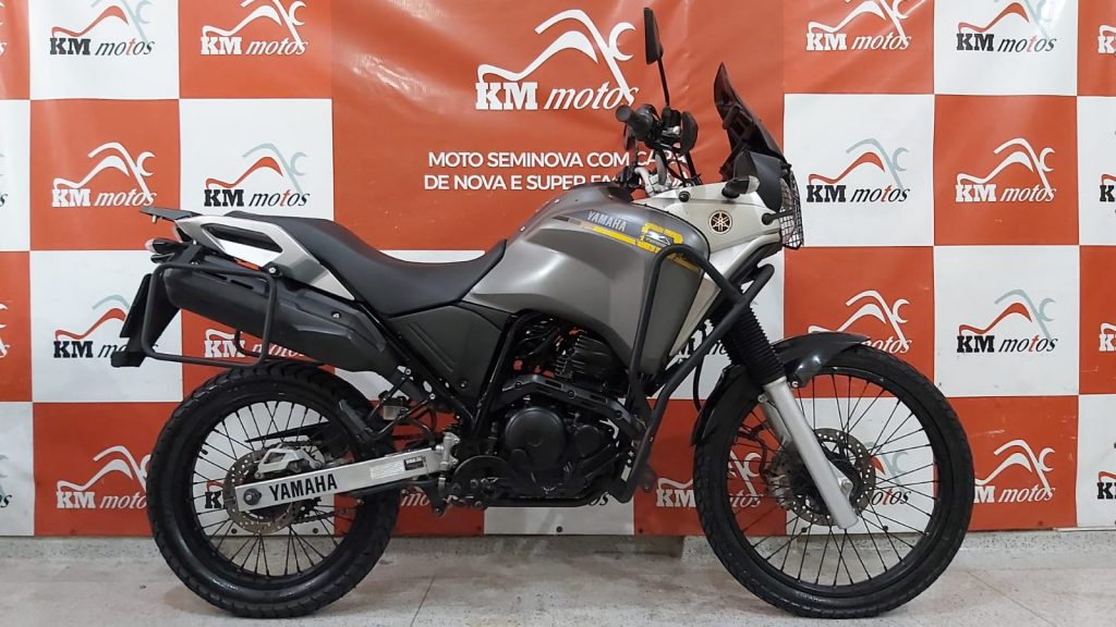 Yamaha XTZ 250 Tenere BlueFlex 2016 Cinza