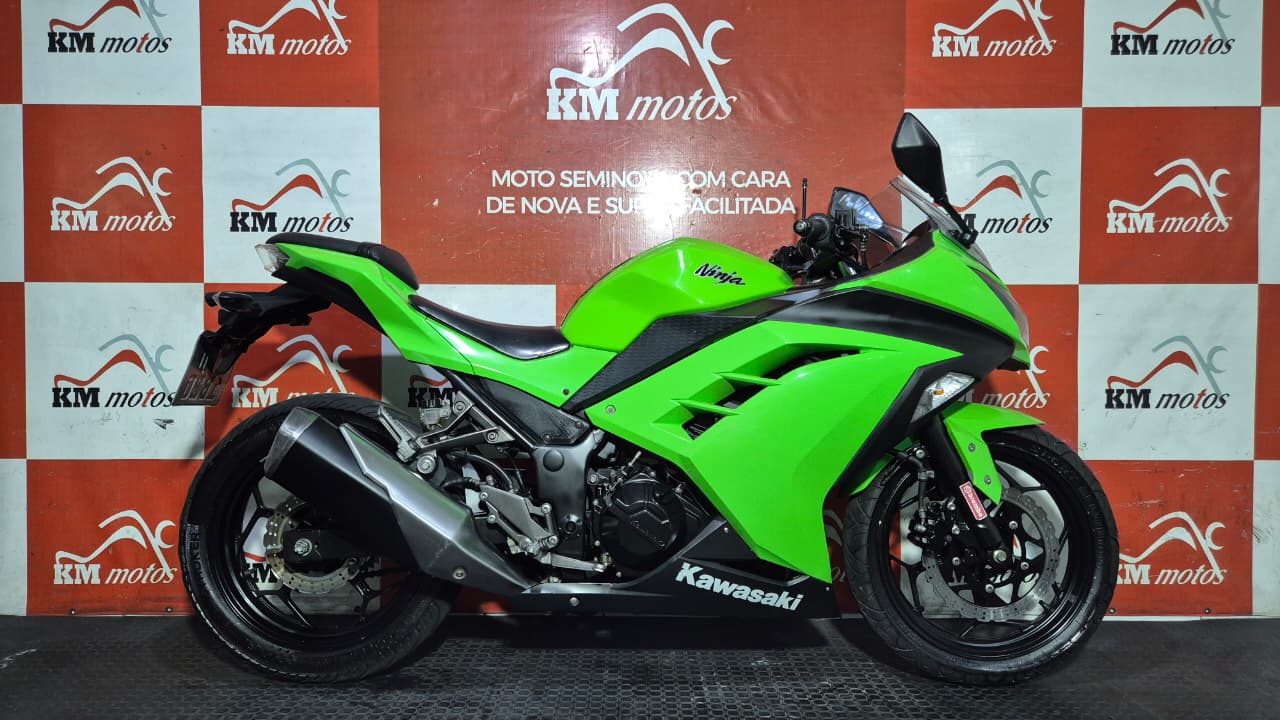 Kawasaki Ninja 300R 2014 Verde